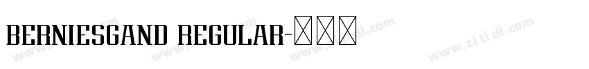 berniesgand regular字体转换 berniesgand regular字体转换
